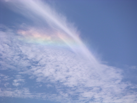 f:id:jjb:20070623132205j:image f:id:jjb:20070623132205j:image