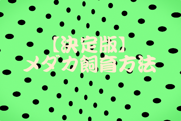 f:id:jjjkeys:20170919231441p:plain