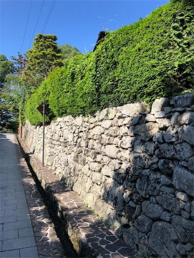 f:id:jjplatoo:20190617065600j:image f:id:jjplatoo:20190617065600j:image