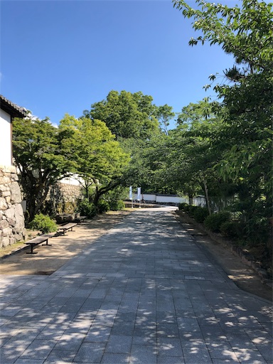 f:id:jjplatoo:20190617065610j:image f:id:jjplatoo:20190617065610j:image