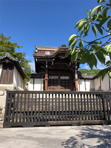 f:id:jjplatoo:20190617065955j:image f:id:jjplatoo:20190617065955j:image
