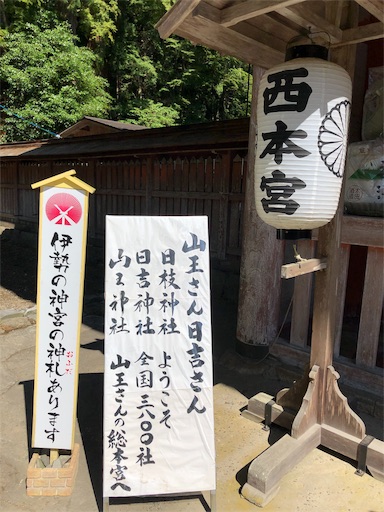 f:id:jjplatoo:20190617071744j:image f:id:jjplatoo:20190617071744j:image