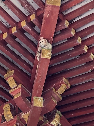 f:id:jjplatoo:20190617071931j:image f:id:jjplatoo:20190617071931j:image