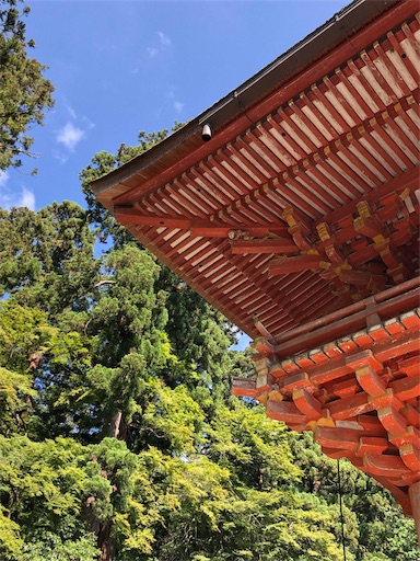 f:id:jjplatoo:20190617072011j:image f:id:jjplatoo:20190617072011j:image