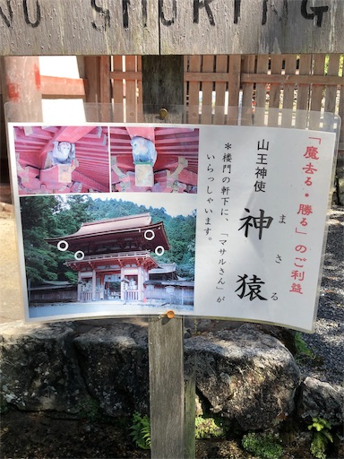 f:id:jjplatoo:20190617072014j:image f:id:jjplatoo:20190617072014j:image
