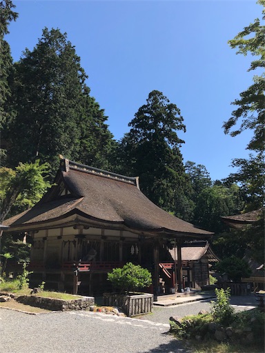 f:id:jjplatoo:20190617072316j:image f:id:jjplatoo:20190617072316j:image