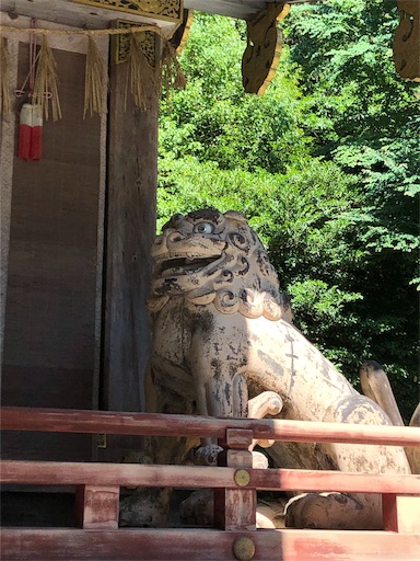 f:id:jjplatoo:20190617072443j:image f:id:jjplatoo:20190617072443j:image