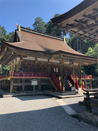 f:id:jjplatoo:20190617072622j:image f:id:jjplatoo:20190617072622j:image