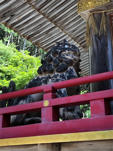 f:id:jjplatoo:20190617072625j:image f:id:jjplatoo:20190617072625j:image