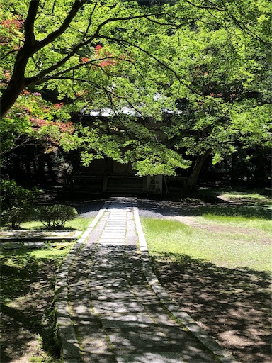 f:id:jjplatoo:20190617103749j:image f:id:jjplatoo:20190617103749j:image