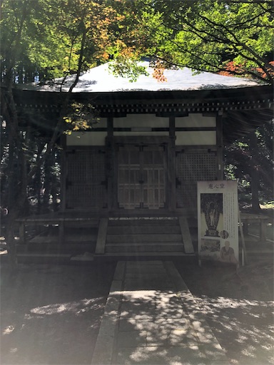 f:id:jjplatoo:20190617103752j:image f:id:jjplatoo:20190617103752j:image
