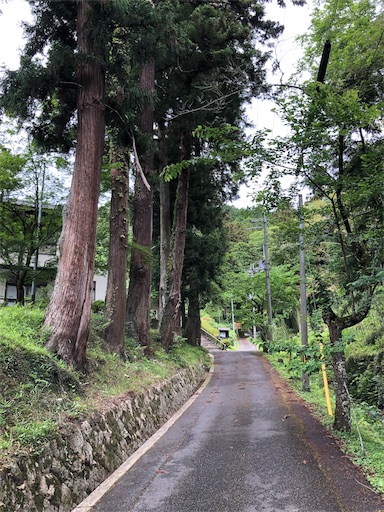 f:id:jjplatoo:20190617183625j:image f:id:jjplatoo:20190617183625j:image