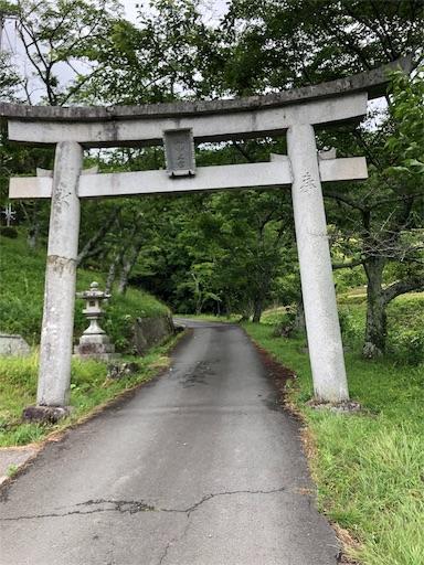 f:id:jjplatoo:20190617183628j:image f:id:jjplatoo:20190617183628j:image