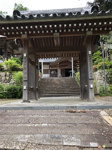 f:id:jjplatoo:20190617184304j:image f:id:jjplatoo:20190617184304j:image