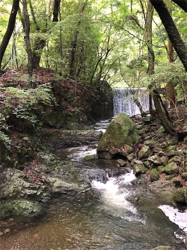 f:id:jjplatoo:20190618082322j:image f:id:jjplatoo:20190618082322j:image