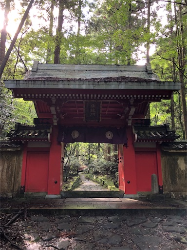 f:id:jjplatoo:20190618082530j:image f:id:jjplatoo:20190618082530j:image