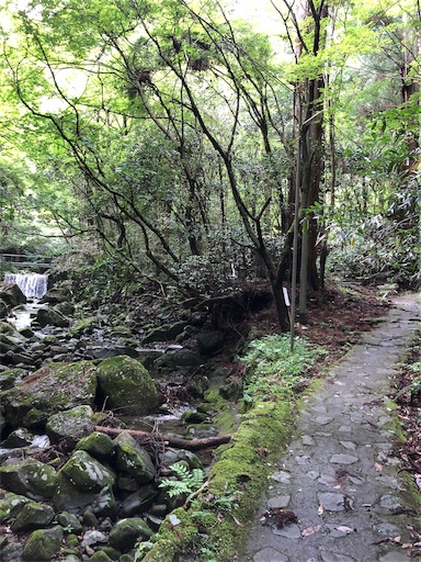 f:id:jjplatoo:20190618082622j:image f:id:jjplatoo:20190618082622j:image