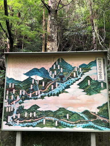 f:id:jjplatoo:20190618082902j:image f:id:jjplatoo:20190618082902j:image