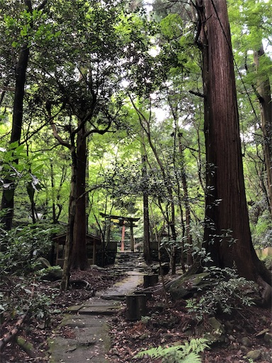 f:id:jjplatoo:20190618082906j:image f:id:jjplatoo:20190618082906j:image