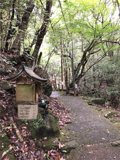 f:id:jjplatoo:20190618083042j:image f:id:jjplatoo:20190618083042j:image