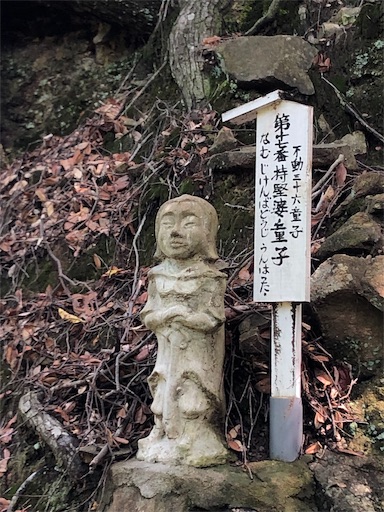 f:id:jjplatoo:20190618094034j:image f:id:jjplatoo:20190618094034j:image
