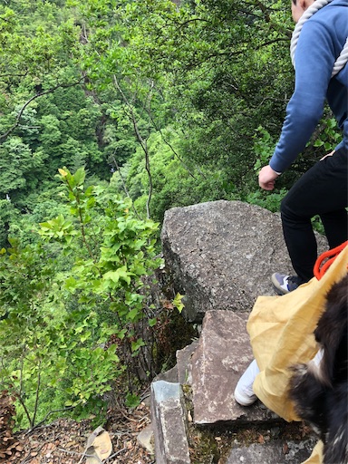 f:id:jjplatoo:20190618094858j:image f:id:jjplatoo:20190618094858j:image