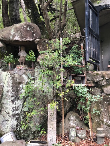 f:id:jjplatoo:20190618100109j:image f:id:jjplatoo:20190618100109j:image