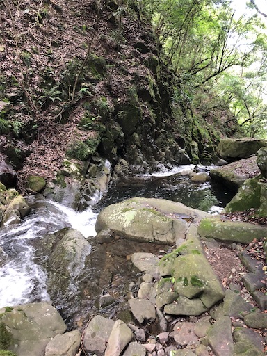 f:id:jjplatoo:20190618101333j:image f:id:jjplatoo:20190618101333j:image