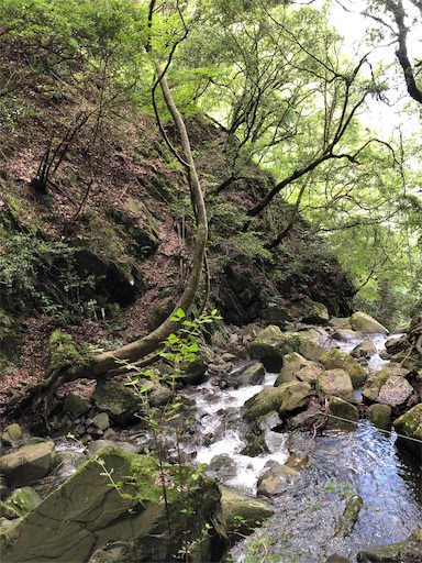 f:id:jjplatoo:20190618101514j:image f:id:jjplatoo:20190618101514j:image