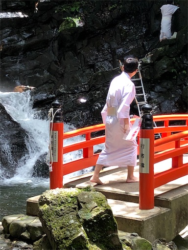 f:id:jjplatoo:20190618102219j:image f:id:jjplatoo:20190618102219j:image