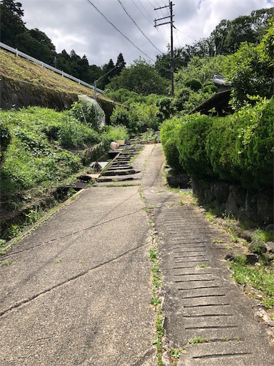 f:id:jjplatoo:20190618175724j:image f:id:jjplatoo:20190618175724j:image