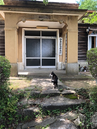 f:id:jjplatoo:20190618180033j:image f:id:jjplatoo:20190618180033j:image