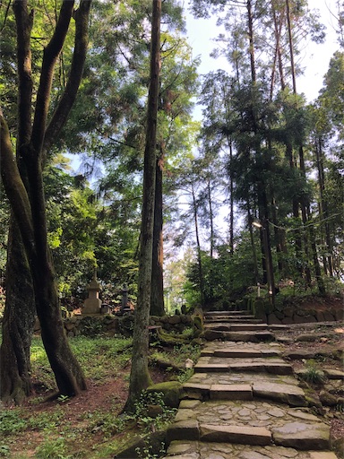 f:id:jjplatoo:20190622171509j:image f:id:jjplatoo:20190622171509j:image
