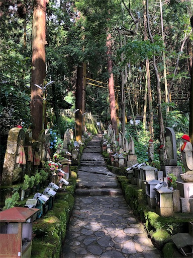 f:id:jjplatoo:20190622171513j:image f:id:jjplatoo:20190622171513j:image