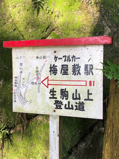 f:id:jjplatoo:20190622171736j:image f:id:jjplatoo:20190622171736j:image