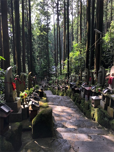 f:id:jjplatoo:20190622171928j:image f:id:jjplatoo:20190622171928j:image