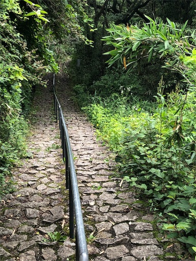 f:id:jjplatoo:20190622190425j:image f:id:jjplatoo:20190622190425j:image