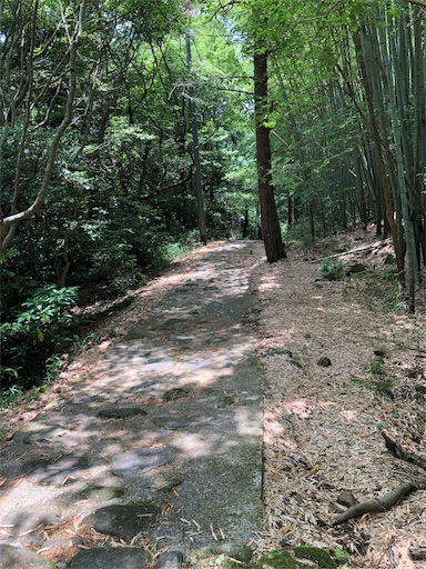 f:id:jjplatoo:20190622190744j:image f:id:jjplatoo:20190622190744j:image