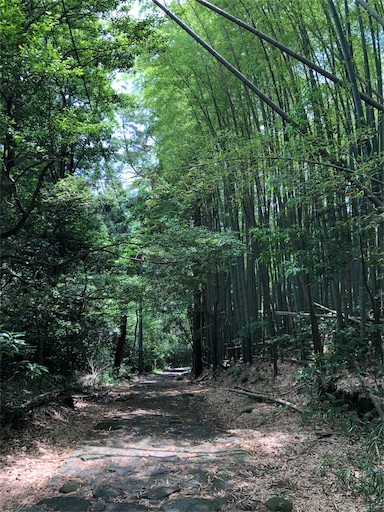 f:id:jjplatoo:20190622190747j:image f:id:jjplatoo:20190622190747j:image