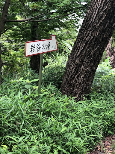 f:id:jjplatoo:20190622191331j:image f:id:jjplatoo:20190622191331j:image