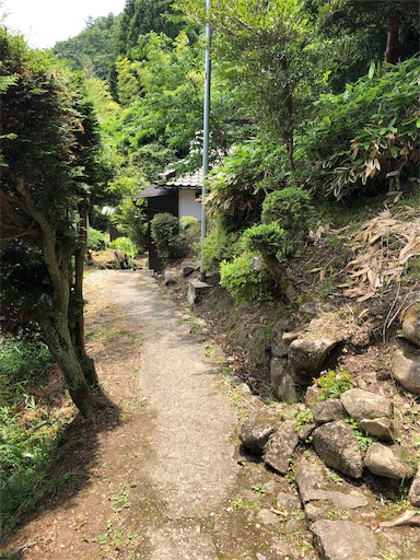 f:id:jjplatoo:20190622191503j:image f:id:jjplatoo:20190622191503j:image