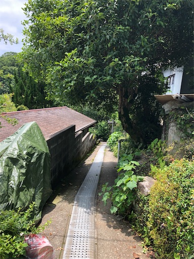 f:id:jjplatoo:20190622191506j:image f:id:jjplatoo:20190622191506j:image