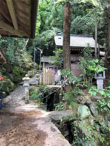 f:id:jjplatoo:20190622192111j:image f:id:jjplatoo:20190622192111j:image