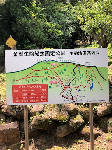 f:id:jjplatoo:20190622192625j:image f:id:jjplatoo:20190622192625j:image
