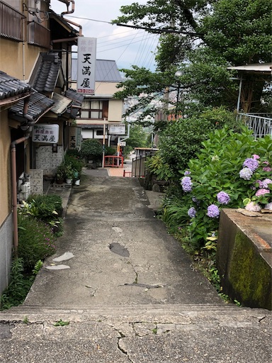 f:id:jjplatoo:20190701190158j:image f:id:jjplatoo:20190701190158j:image