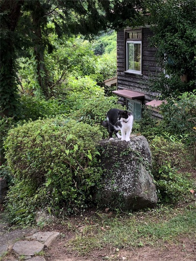 f:id:jjplatoo:20190709075031j:image f:id:jjplatoo:20190709075031j:image