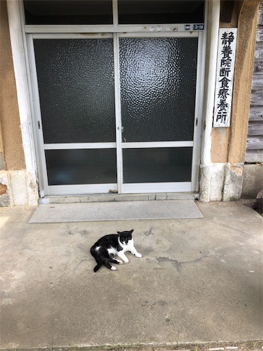 f:id:jjplatoo:20190709075202j:image f:id:jjplatoo:20190709075202j:image