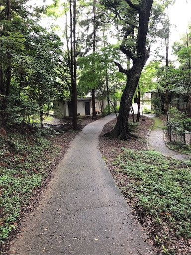 f:id:jjplatoo:20190715154123j:image f:id:jjplatoo:20190715154123j:image