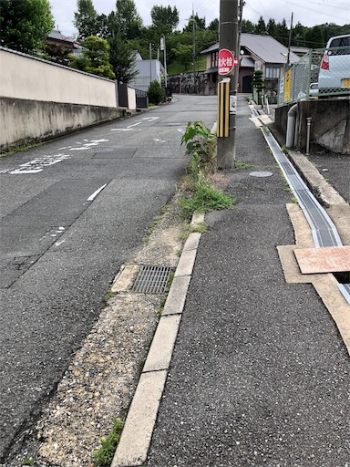 f:id:jjplatoo:20190715163552j:image f:id:jjplatoo:20190715163552j:image