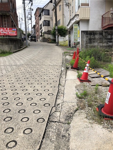 f:id:jjplatoo:20190715172411j:image f:id:jjplatoo:20190715172411j:image